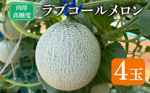 先行予約 ラブコールメロン 4玉  メロン 果物 フルーツ 糖度 甘い  贈答 プレゼント 贈り物 ギフト ゼリー ジュース フルーツサンド クレープ ケーキ シャーベット アイス デザート スイーツ 追熟 送料無料 千葉県 銚子市 はぎわらファーム 発送時期 2026年7月~(なくなり次第終了)