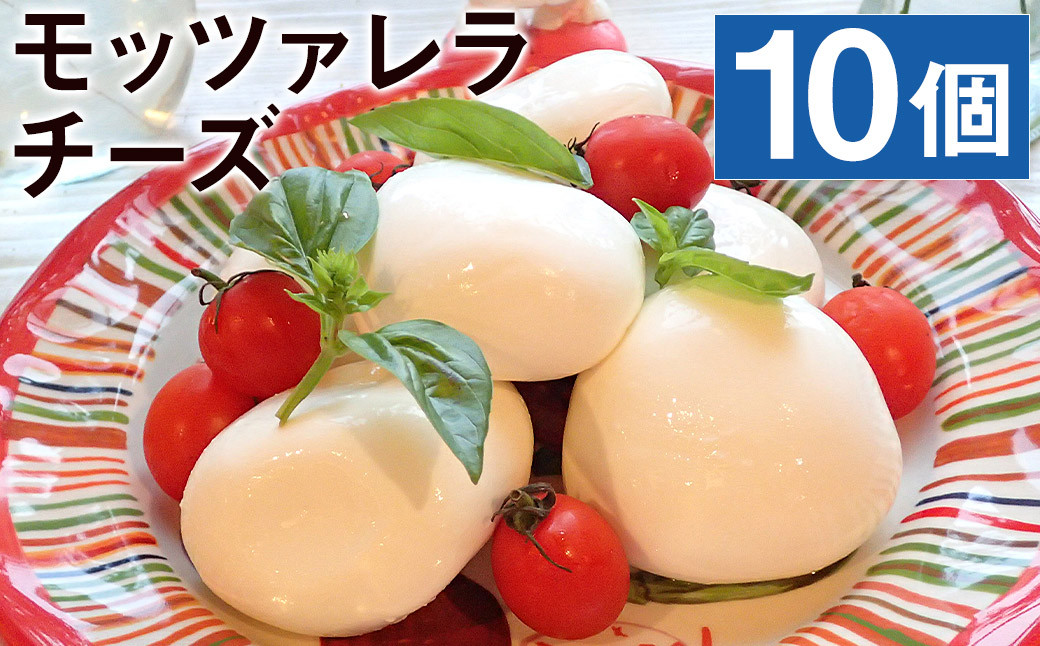 モッツァレラチーズ 「ミル爆」計1kg（100g×10個）チーズ---《90日以内に出荷予定(土日祝除く)》018-1987---