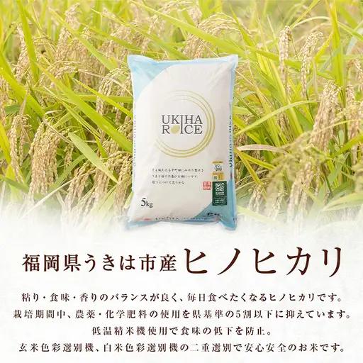 【ふるさと納税】米 白米 精米 UKIHA RICE 10kg（5kg×2袋） 特別栽培米 ヒノヒカリ 令和7年産 こめ ご飯 コメ ごはん 送料無料 国産 国産米 福岡 返礼品 お弁当 おにぎり 家