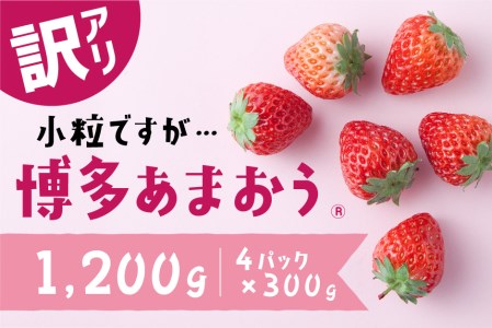 AB380.【訳あり.限定品】あまおう.小粒ですが約１２００g（先行受付．２０２５年１月以降発送）