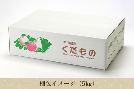 【家庭用】和梨 新興 5kg（7～10玉）《10月中旬～順次出荷》 しんこうなし 果物 フルーツ ナシ 新潟産 加茂市 入江果樹園 