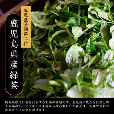 ふるさと納税 南さつま市 【日本茶AWARD受賞】高級深蒸し茶「さえみどり」 3本セット (100g×3袋) |  | 02