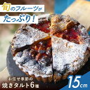 【ふるさと納税】シェフ厳選！お任せ季節の焼きタルト6種セット 5号サイズ＜公園と、タルト直送＞　大阪府高槻市/公園と、タルト[AOCD002][AOCD002]