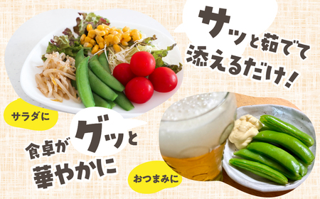 ≪先行予約≫スナックエンドウ 約500g エンドウ スナップエンドウ サラダ 野菜 料理 夕飯 おかず 栄養バランス シャキシャキ 高糖度 糖度 旬 旬の野菜 健康 愛知県 豊橋市 1万円 10000