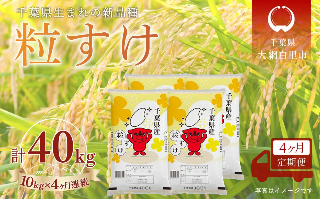 
                  ＜4か月定期便＞ 千葉県産「粒すけ」精米 10kg×4か月連続 計40kg
                