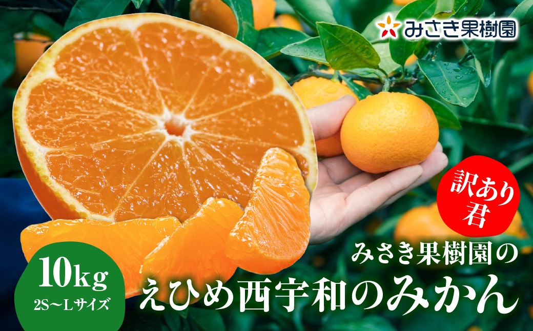 【先行受付】【訳あり君】みさき果樹園のえひめ西宇和のみかん10kg2S～L混合【D21-17】YWTBC003