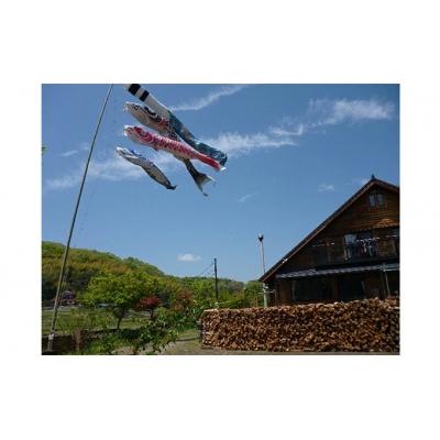 ふるさと納税 三原市 薪ストーブにおすすめ!「カシ・クヌギ」乾燥薪(40cm)24kg×3セット[002-004] |  | 01