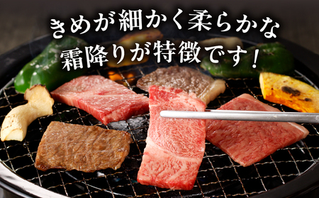 宮崎牛霜降り焼肉 宮崎牛 牛肉 焼肉