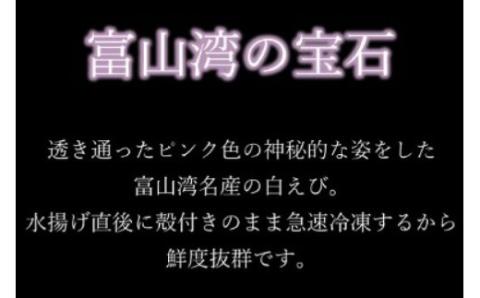 えび 富山湾 名産 白えび 殻付き 200g×3パック 海老 エビ 冷凍 さしみ /くろべの太陽/富山県 黒部市