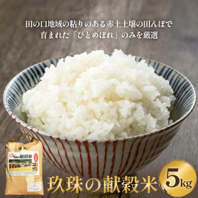 ふるさと納税 玖珠町 令和7年 &lt;新米先行受付&gt; 玖珠の献穀米 5kg 米 ひとめぼれ 大分県 玖珠町 こめ お米 白米