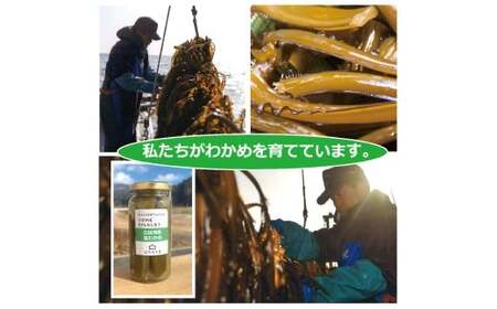 広田湾産茎わかめのピクルス 2本 たかたのゆめちゃん パッケージ ピクルス