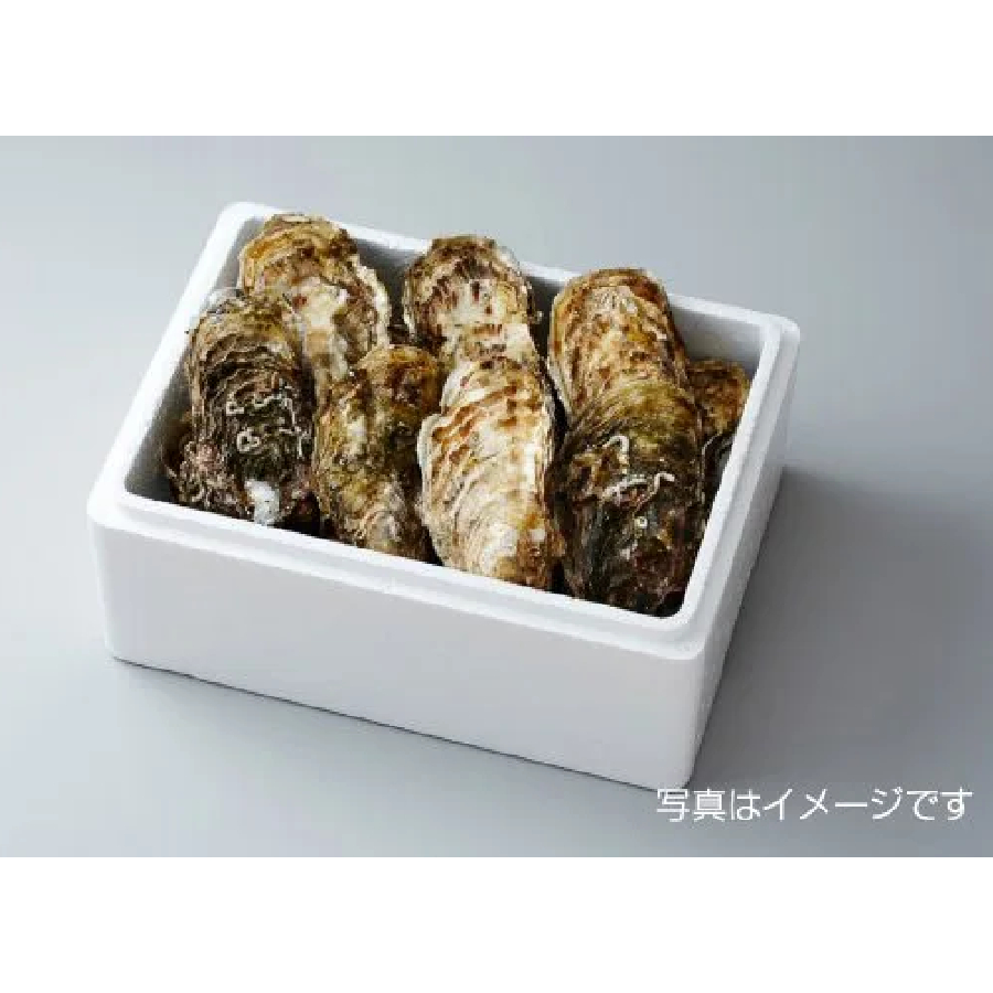 ＜大和田家の牡蠣＞殻付き牡蠣Lサイズ10個（加熱用）