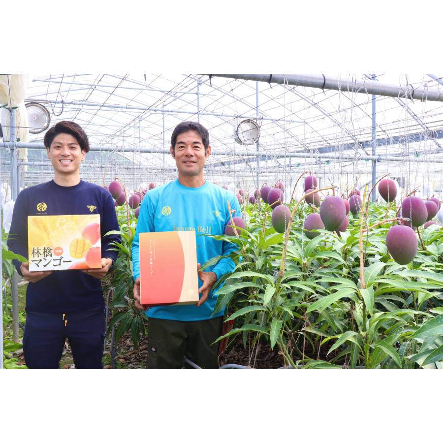 ＜TRAFRU果樹園～太陽と旅する果実～＞ROUGE BELL計800g以上（2玉入り）