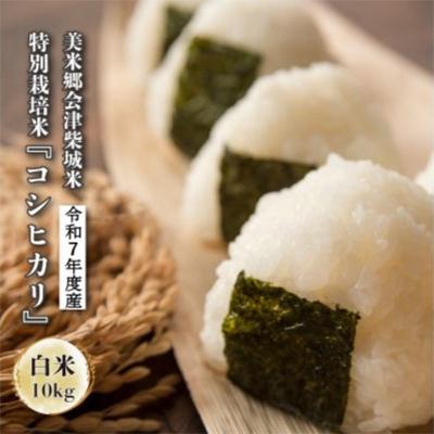 ふるさと納税 喜多方市 令和7年度産　美米郷会津柴城米　特別栽培米コシヒカリ　白米　10kg