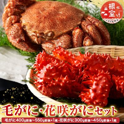 ふるさと納税 根室市 毛かに400〜550g・花咲300〜450g前後 B-30042