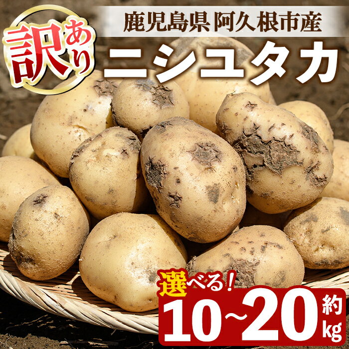 【ふるさと納税】＜内容量が選べる！＞訳あり！じゃがいも ニシユタカ(10〜20kg) 国産 鹿児島県産 阿久根市産 じゃがいも ジャガイモ 芋 ポテト にしゆたか 訳アリ 野菜 ポテトサラダ コロッケ 常温 常温配送【慶越農園】