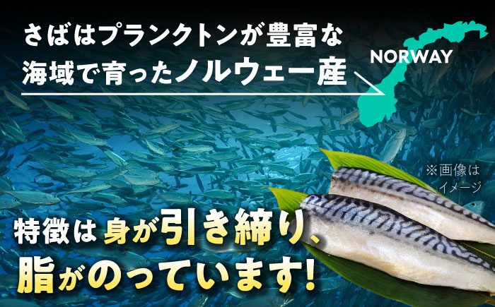 【脂がのったサバ！】 炭火焼 トロさば 蒲焼 20枚入 /炭火焼古賀 [UDH021] 手焼き サバ 鯖 さば 蒲焼き タレ付き