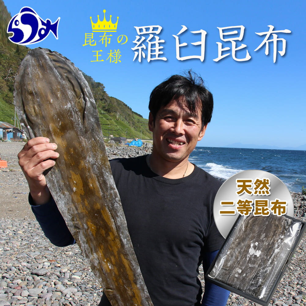 【ふるさと納税】【羅臼昆布】天神さん家の知床羅臼＜天然＞二等昆布（2枚入） 生産者 支援 応援