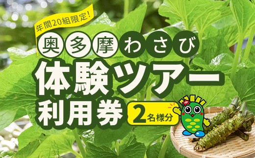 奥多摩 わさび体験ツアー利用券（2名分）／わさびの植え付け 収穫 試食 体験 年間20組限定わさび 山葵 ワサビ 収穫体験 観光 旅行 アクティビティ自然 自然体験 体験 東京都奥多摩町