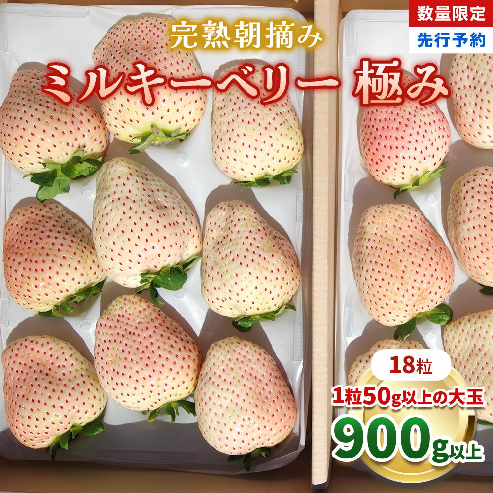 【ふるさと納税】いちご 完熟 朝摘み ミルキーベリー 極み 18粒【2027年 先行予約】 | いちご イチゴ 苺 フルーツ ミルキー ベリー 果物 フルーツ お取り寄せ 贈答 プレゼント ギフト 紅白 おいしい ご褒美 産地直送 栃木県産 矢板市 澳原いちご農園