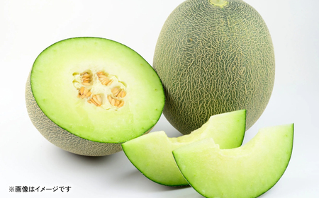 【先行予約】肥後グリーンメロン 熊本県産 4～6玉 約7kg 青肉メロン くだもの 果物 フルーツ デザート【2025年6月上旬より順次発送】