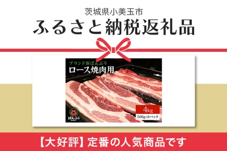 ブランド豚「ばんぶぅ」小分け ロース焼肉用 4kg（500g×8パック） 冷凍便 4キロ 豚肉 豚ロース 豚ローススライス肉 焼き肉用 やき肉用 やきにく用 ヤキニク用 薄切り肉 うす切り肉 ブタ肉 