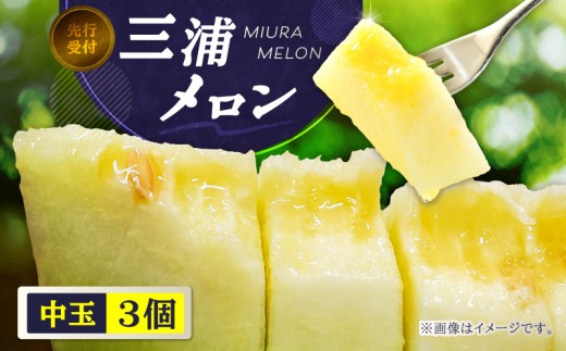 ＜先行予約＞三浦メロン（中玉3個）　M080-002-02