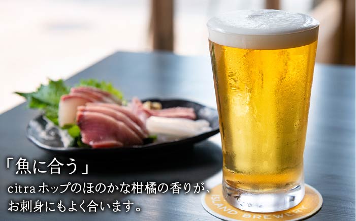 【全3回 定期便 】クラフトビール 地ビール GOLDEN ALE 6本 【ISLAND BREWERY】 《 壱岐市 》[JED009] 45000 45000円