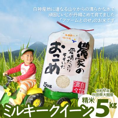 ふるさと納税 大館市 【令和7年産】ファームとのせ「ミルキークイーン精米5kg(5kg×1袋)」