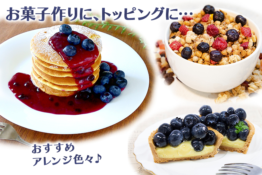 冷凍ブルーベリー (小粒) 1.1kg 9-S