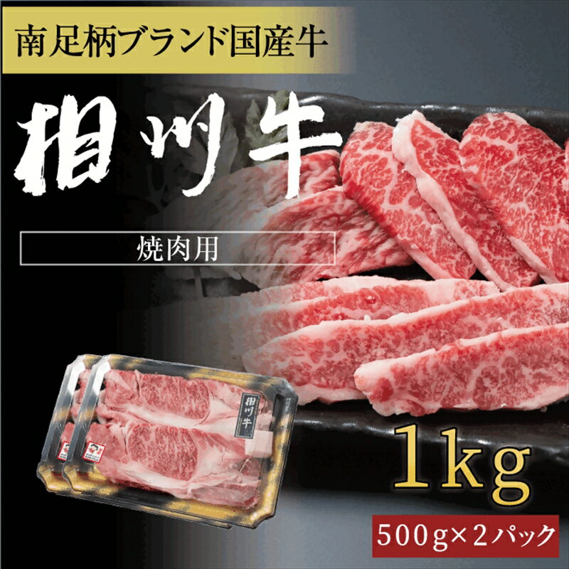 【ふるさと納税】相州牛 焼肉・網焼き用カルビ　1.0kg（厚切り） 【 牛肉 お肉 ブランド牛 神奈川県 南足柄市 】
