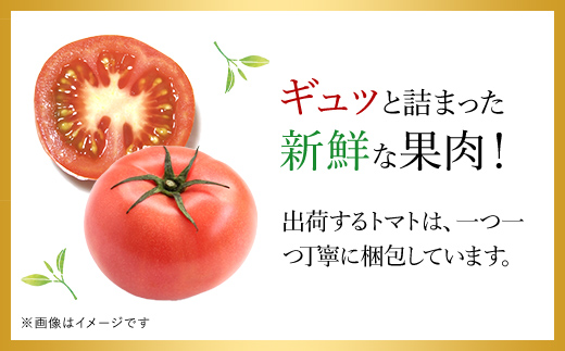 【先行予約/10月中旬発送開始】松村さんちのトマト1箱（20～24個・約4kg）/ トマト とまと 野菜 夏野菜 先行予約 千葉県 山武市 SMAE002