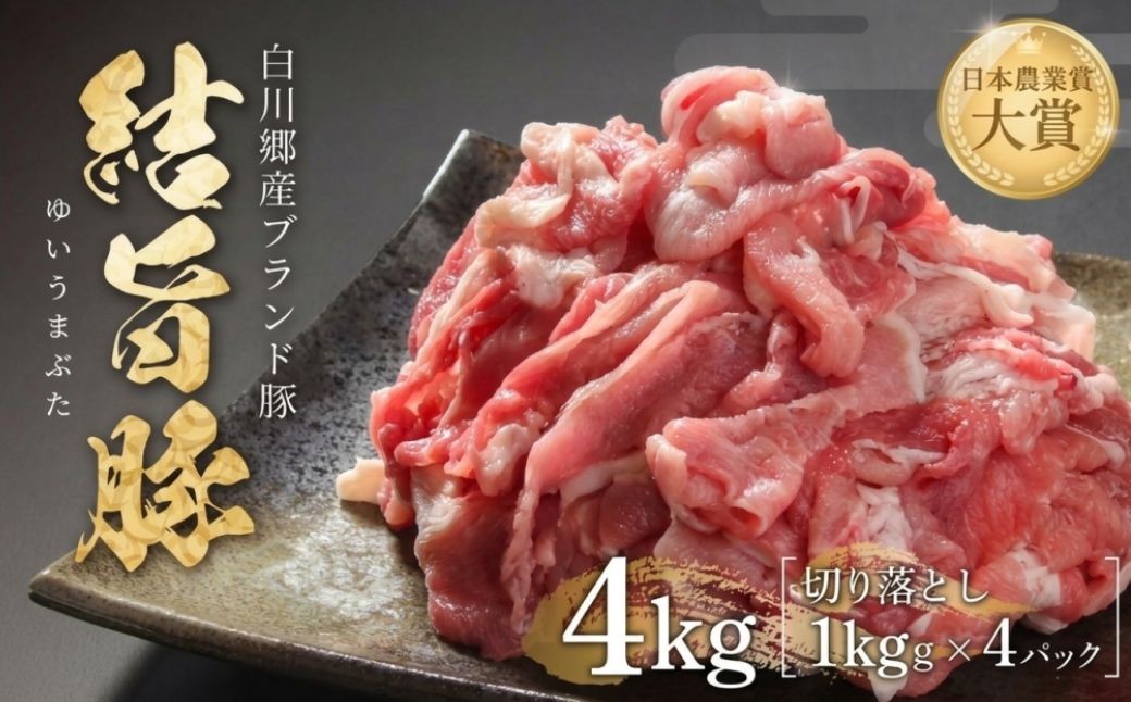 
                  結旨豚 切落とし 1kg×4パック 計4kg 冷凍真空パック | 肉 お肉 豚肉 国産 切り落とし 切落し 薄切り 訳あり 白川郷 岐阜県 白川村 ブランド豚 人気 おすすめ ギフト 飛騨高山ミート 20000円 [MS034] 
                