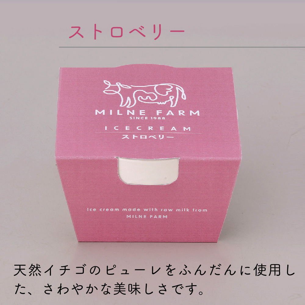 佐賀脊振高原ミルン牧場のアイスクリーム24個セット【手作り 濃厚 生乳 ミルク バニラ 抹茶 チョコ ストロベリー ラムレーズン】(H102123)