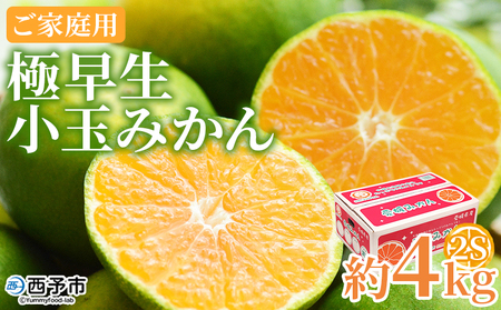 【先行予約】＜極早生小玉みかん ご家庭用 約4kg＞ ご家庭用 果物 フルーツ みかん ミカン 蜜柑 オレンジ 柑橘 食べて応援 特産品 宇都宮物産 愛媛県 西予市 【常温】『2026年9月下旬～10月中旬迄に順次出荷予定』UUB0046