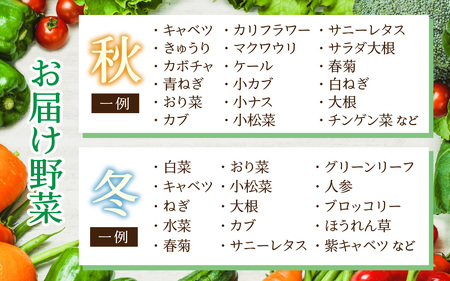 【3ヶ月連続お届け】農家直送 旬の野菜セット 7品目以上 1箱 ／ 定期便 3回 季節 野菜 ボックス BOX セット セレクト 農家 おまかせ 多品目 旬 詰め合わせ 根菜 葉物