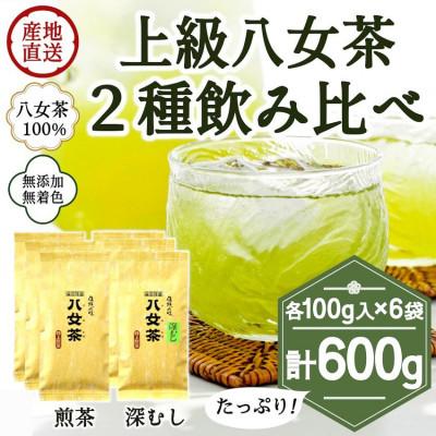 ふるさと納税 八女市 八女茶100% 煎茶・深むし茶 違いを楽しむ上級茶飲み比べセット 100g×6袋