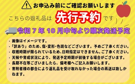 【先行予約】【訳あり】シナノスイート【約3ｋｇ(6〜14玉)】(7-A27-1)