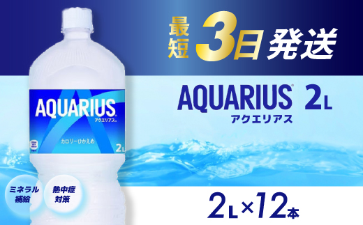 アクエリアス PET 2L×12本(6本×2ケース) 最短3日で発送 スポーツドリンク スポーツ飲料 清涼飲料水 水分補給 ペットボトル 箱買い まとめ買い 014019