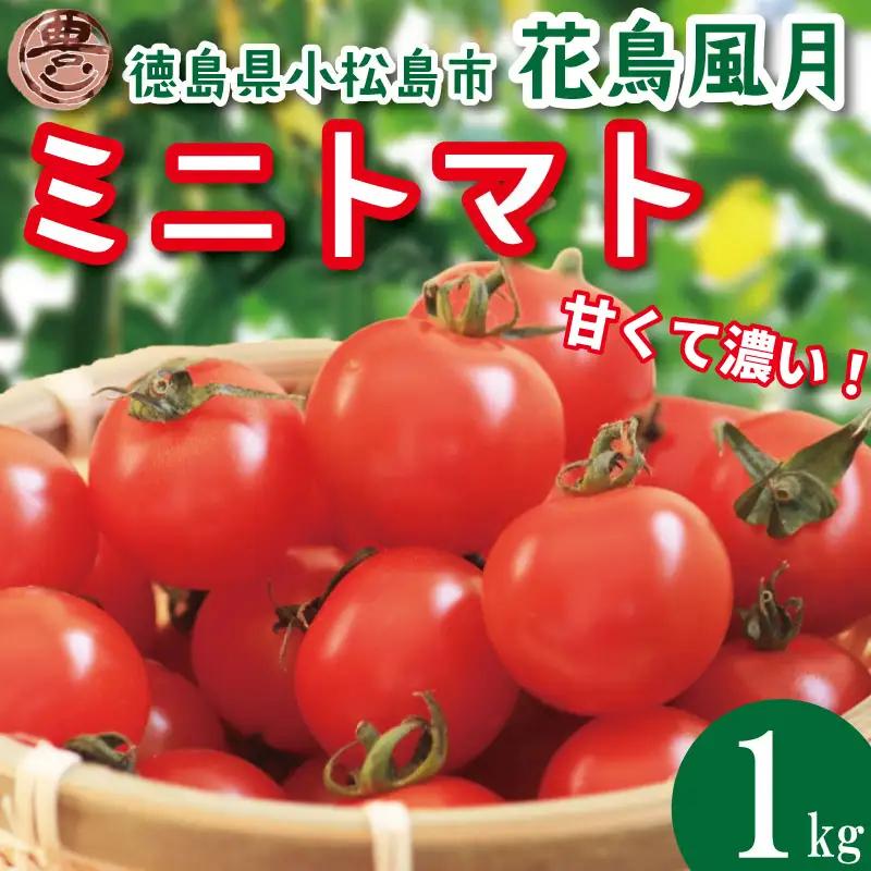 【2027年4月発送】 ミニトマト 花鳥風月 国産 1kg ミニトマト