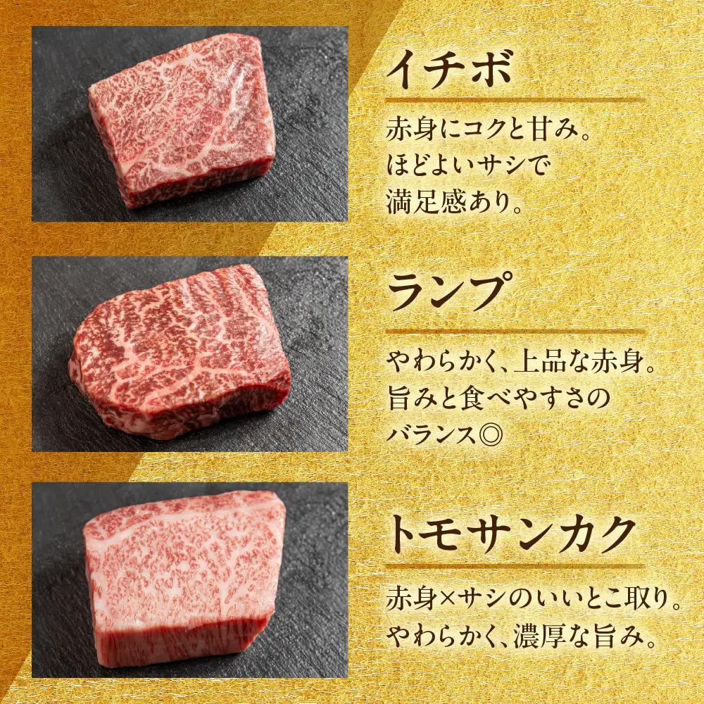 飛騨牛 希少部位食 5種 食べ比べステーキセット（各100g）計500g （サーロイン・ヒレ・ランプ・イチボ・トモサンカク）【22-51】