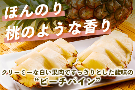【先行予約】《2025年5月上旬頃より順次発送》石垣島産 ピーチパイン (4玉 約3㎏) 【 産地直送 沖縄 石垣 パイナップル フルーツ 】石垣さんちの石垣トロピカルファーム TP-11