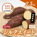 【ふるさと納税】【先行予約】【数量限定】シルクスイート 生芋（2.5kg）| さつまいも サツマイモ 産地直送　※2024年12月上旬～2025年4月下旬頃に順次発送予定