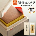 【ふるさと納税】【全12回定期便】特撰カステラ1号 580g ×12回 かすてら 和三盆糖 上白糖 グラニュー糖 ざらめ糖 南蛮卵 スイーツ 和菓子 お菓子 長崎県 長崎市 送料無料