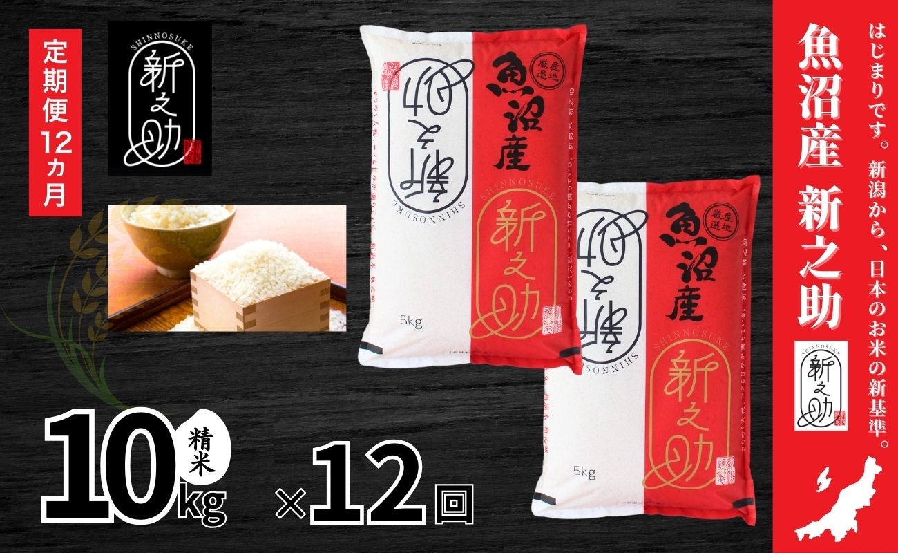 
            【12ヶ月定期便】令和7年産新米 中魚沼産「新之助(しんのすけ)」10kg×全12回
          