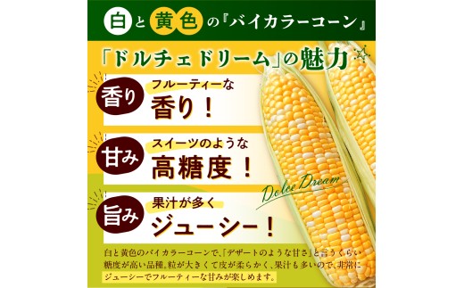 【訳あり】【先行受付】【2027年7月下旬～8月上旬頃配送】北海道十勝芽室町　スイートコーン ドルチェドリーム 13本 me062-003-27b／とうもろこし コーン バイカラー 甘い 生 野菜 B