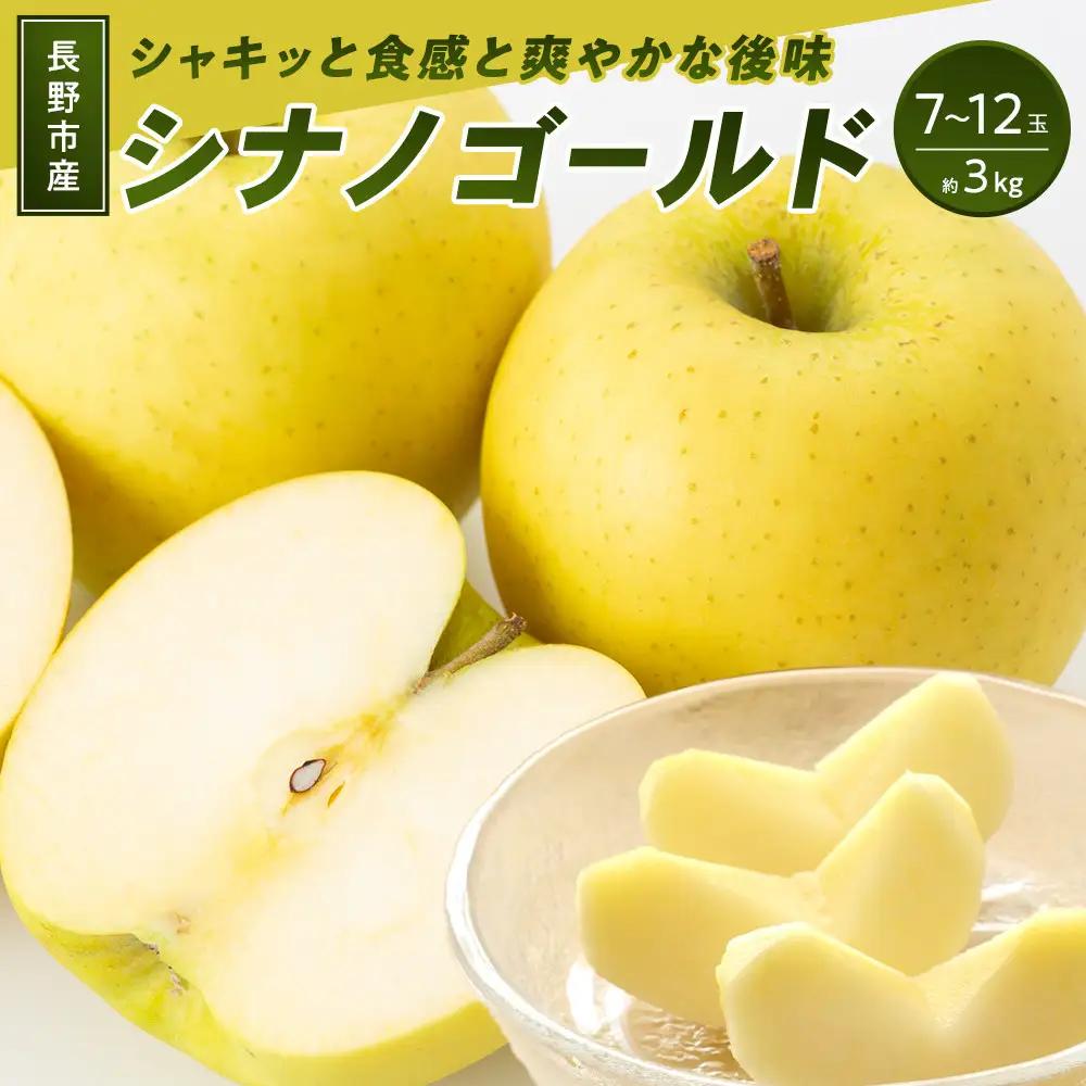 長野市産 シナノゴールド 3kg(7玉～12玉入り) りんご 信濃の味【2026年10月下旬頃より発送予定】 | りんご フルーツ