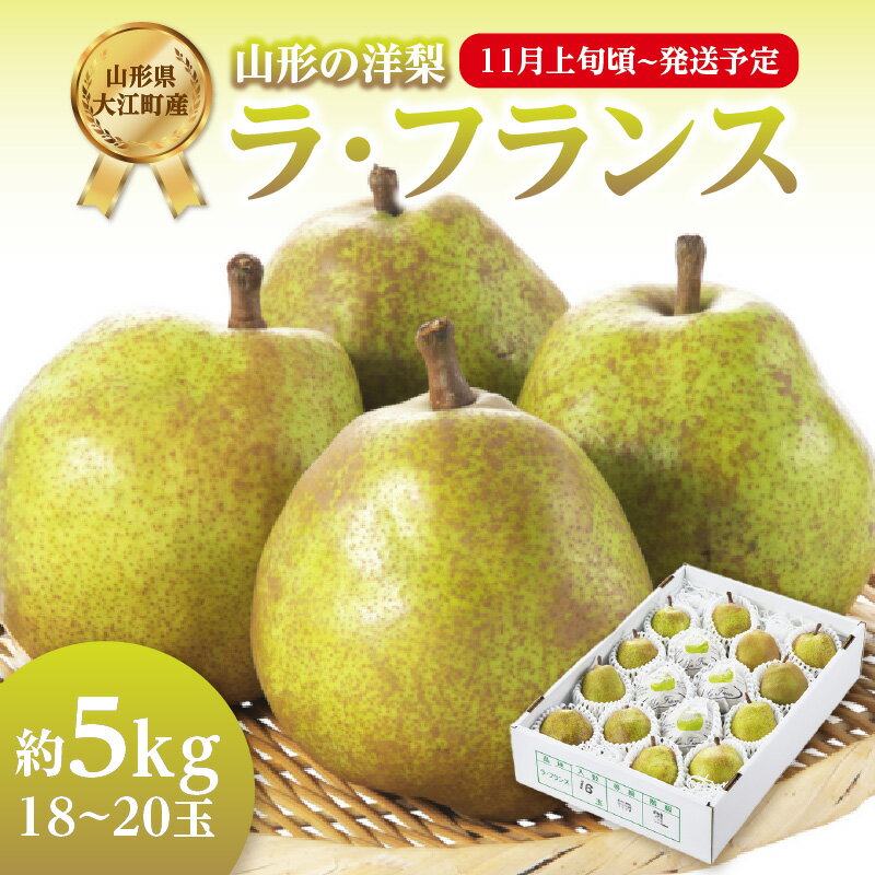 【ふるさと納税】《先行受付》ラ・フランス 約5kg(18〜20玉)【2025年11月上旬頃〜発送予定】 ラフランス 洋梨 洋なし 果物 フルーツ 【山形県産洋梨】