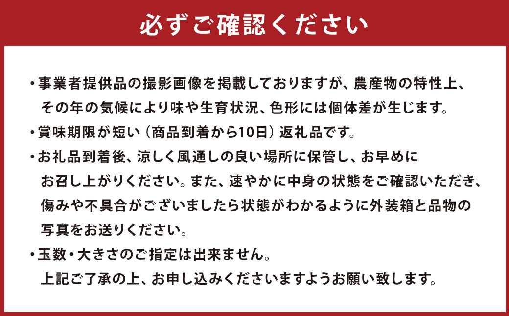 【訳あり】 温州みかん 約10kg