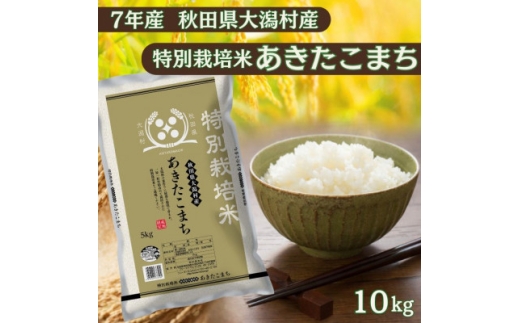 あきたこまち10kg　秋田県産特別栽培米　5kg×2袋　大潟村のお米＜令和7年産＞精米【1725990】